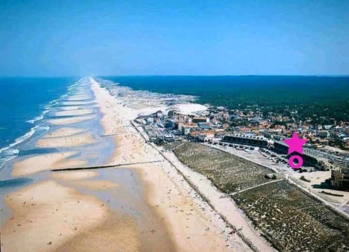 L'Ocean&Dunes Vue A 180° En Bord De Plage Лаканау Екстериор снимка