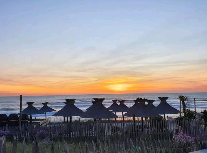 L'Ocean&Dunes Vue A 180° En Bord De Plage Лаканау Екстериор снимка