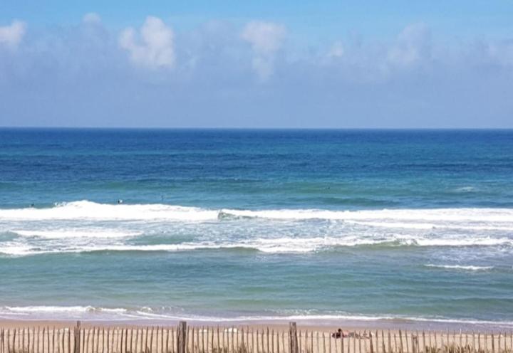 L'Ocean&Dunes Vue A 180° En Bord De Plage Лаканау Екстериор снимка