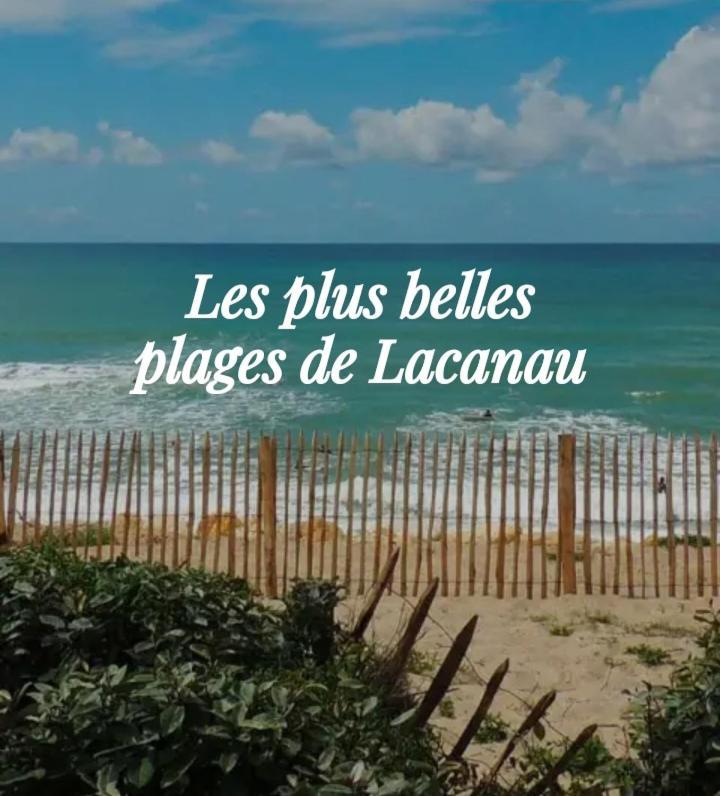 L'Ocean&Dunes Vue A 180° En Bord De Plage Лаканау Екстериор снимка